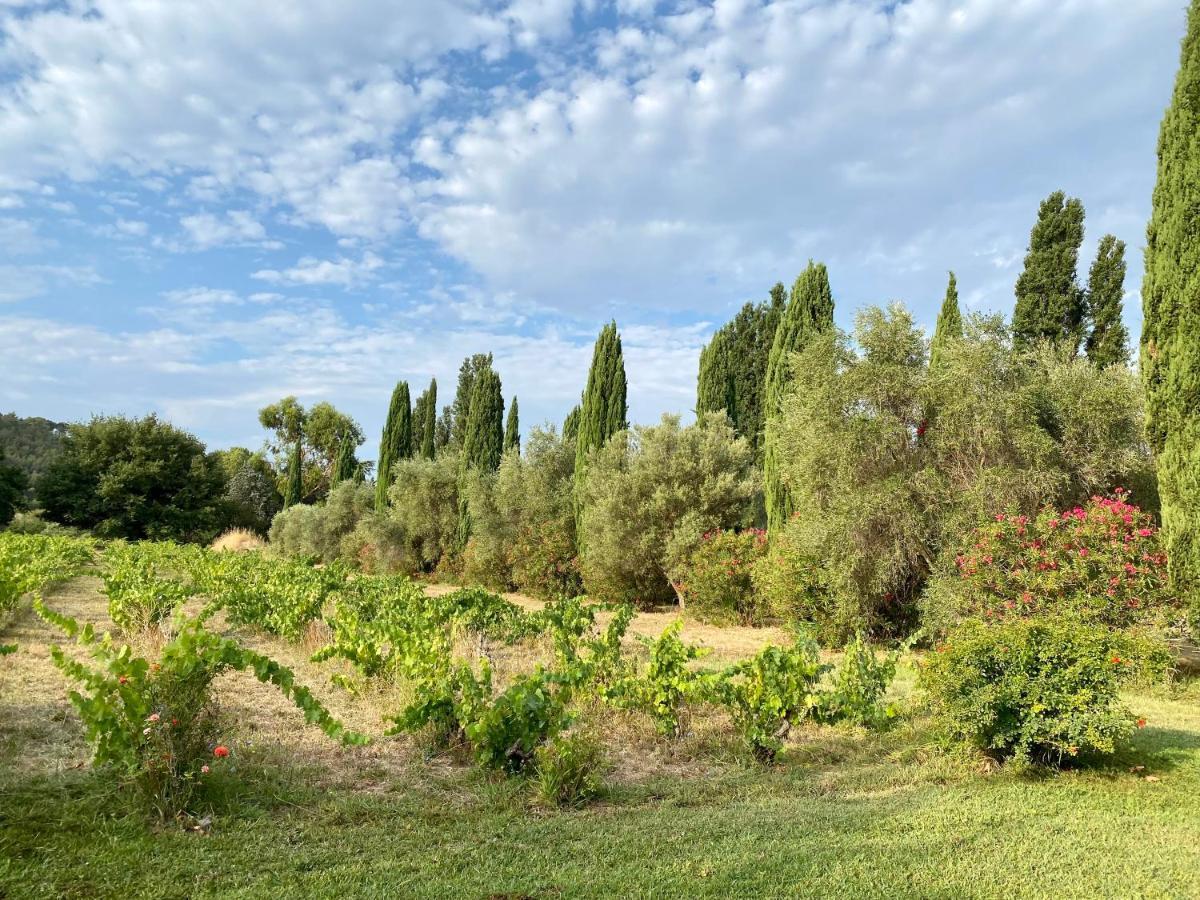 Bastide De Gueissard Bed & Breakfast Сен Сир сюр Мер Екстериор снимка